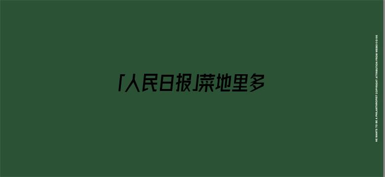 「人民日报」菜地里多看了一眼，两名中学生立功了！